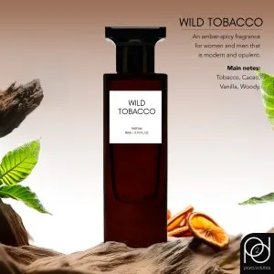 80ml - Wild Tobacco